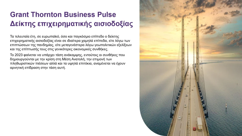 greek-business-pulse-2023-survey-page-0004.jpg