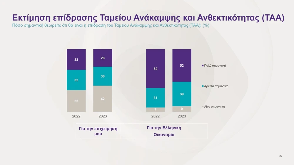 greek-business-pulse-2023-survey-page-0025.jpg