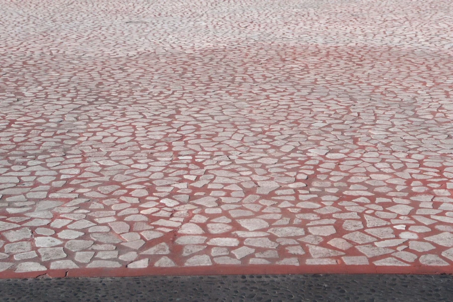 6074943.jpg