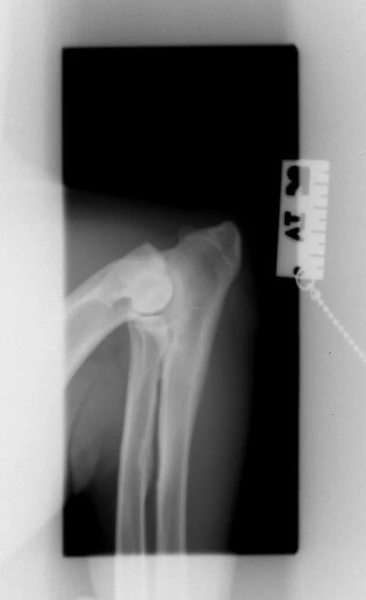 image-5.jpg