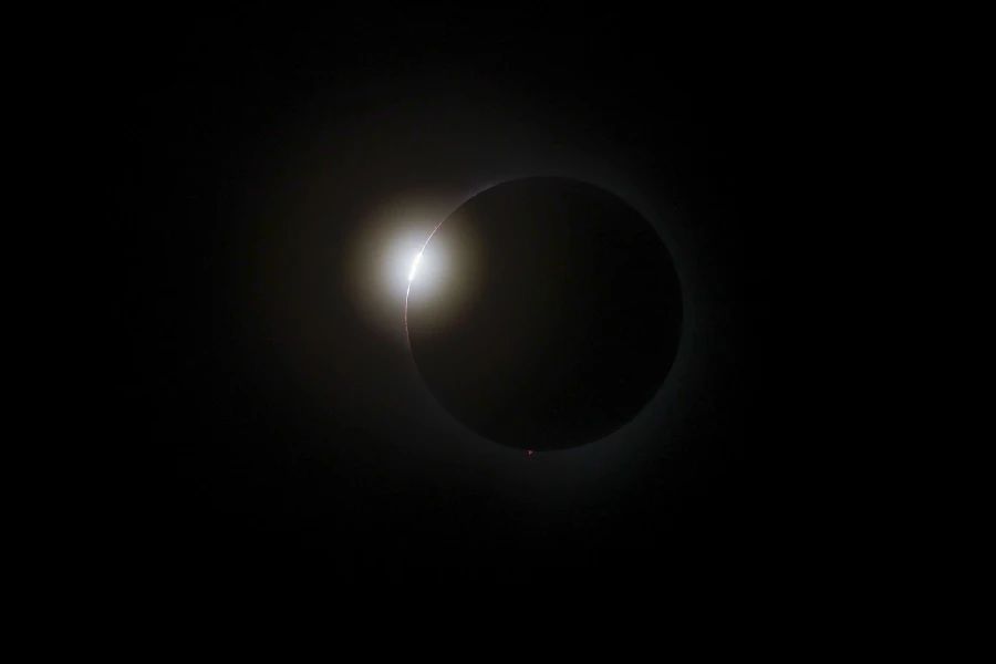 28556930.jpg