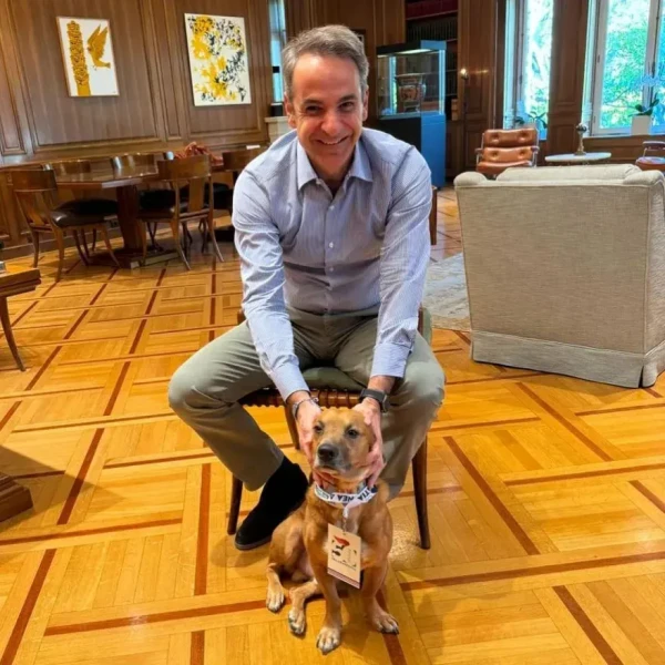 peanut-mitsotakis.webp