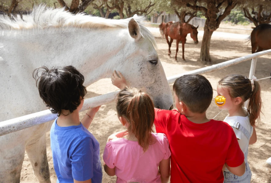 horse.png