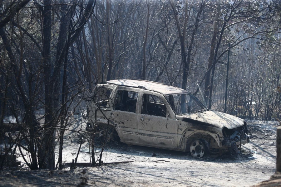 fotia-auto.jpg