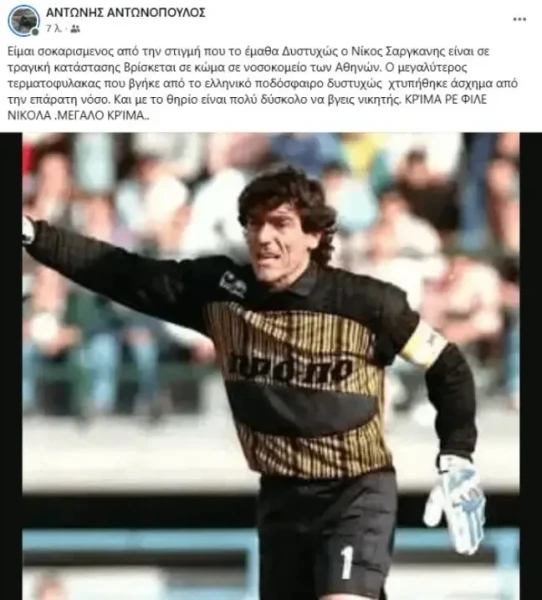sarganis.webp