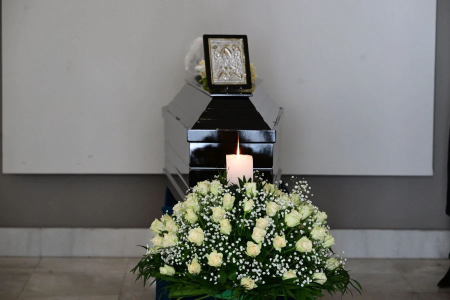 6450880.jpg
