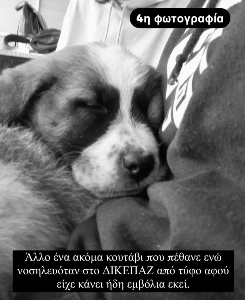 whatsapp-image-2025-01-29-at-011227-3.jpeg
