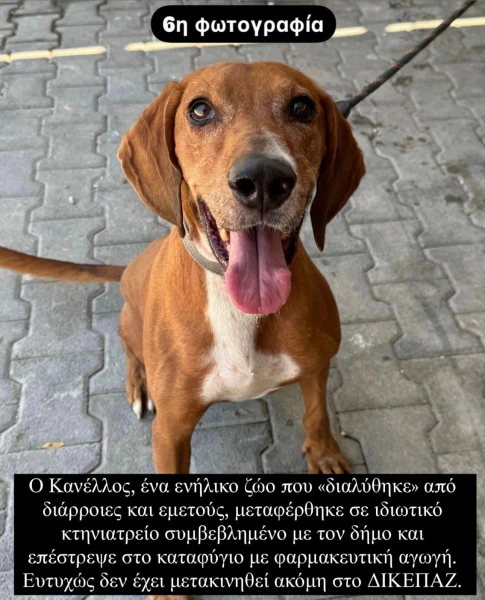 whatsapp-image-2025-01-29-at-011228-2.jpeg