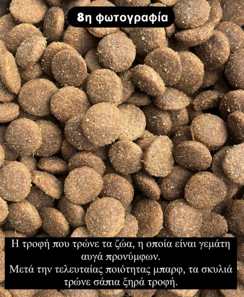 whatsapp-image-2025-01-29-at-011228-4.jpeg