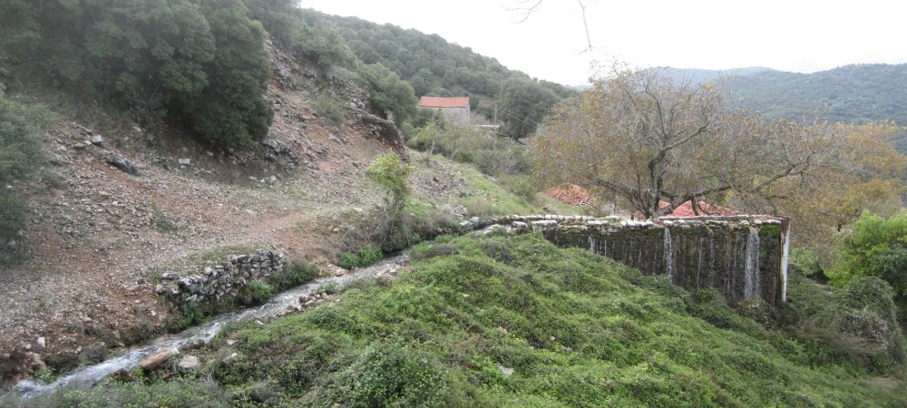 pighizoympatas.jpg