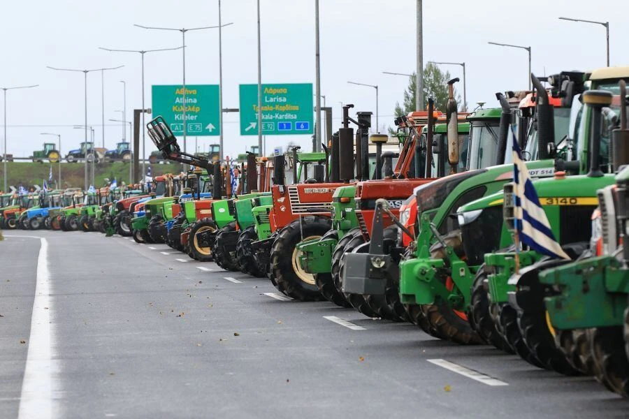 agrotes2.jpg