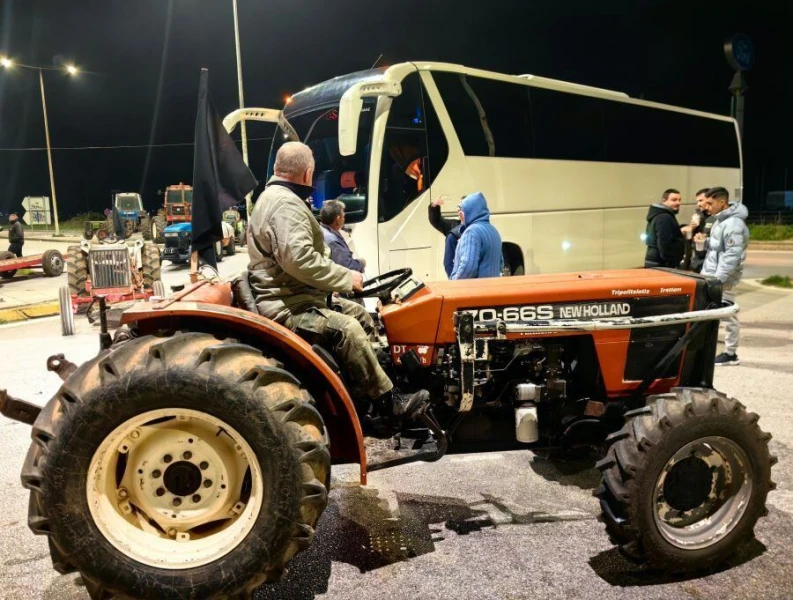 agrotes-2.jpg