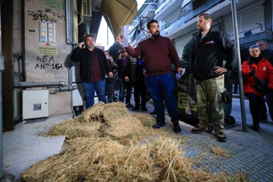 agrotes-sanos.jpg