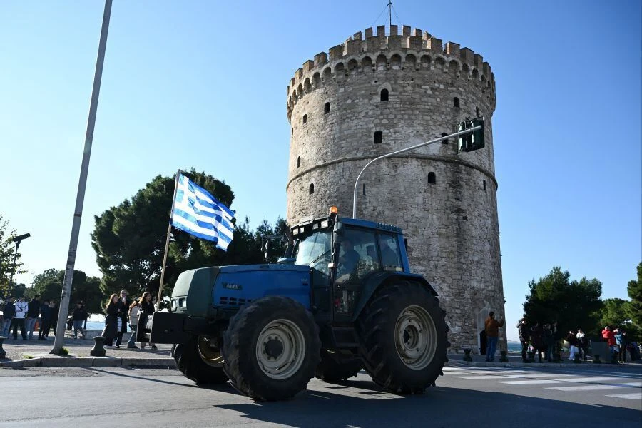 agrotes1.jpg