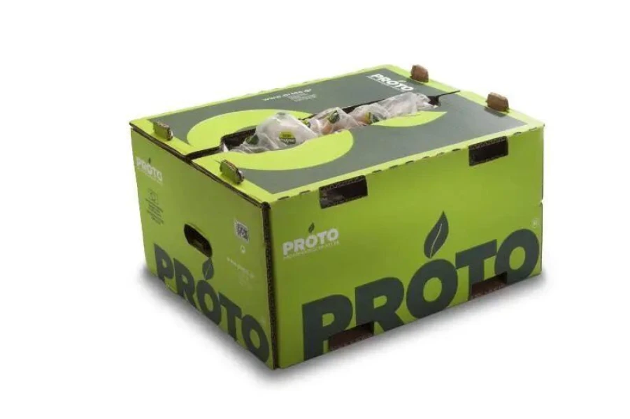 proto-aktinidio-11-0.jpg