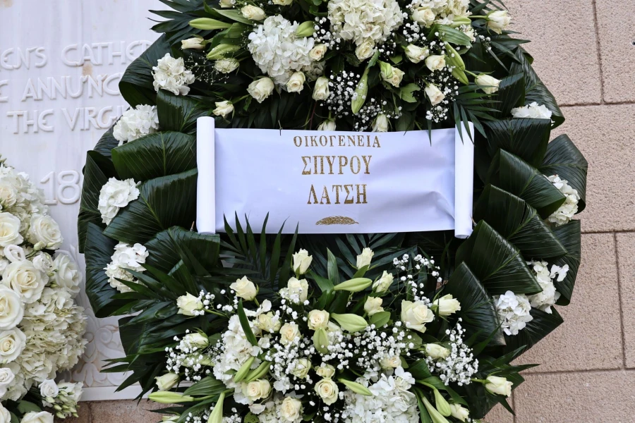 6816923.jpg