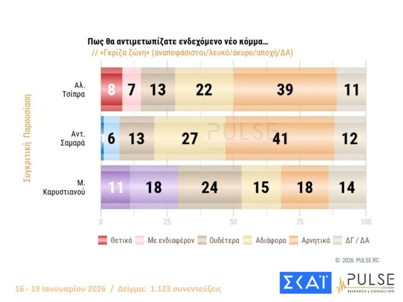 pulse-dimoskopisi-13.jpg