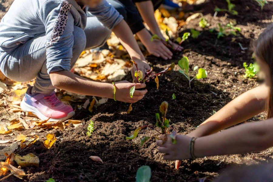 deh-carbon-farming-schools-2.jpg