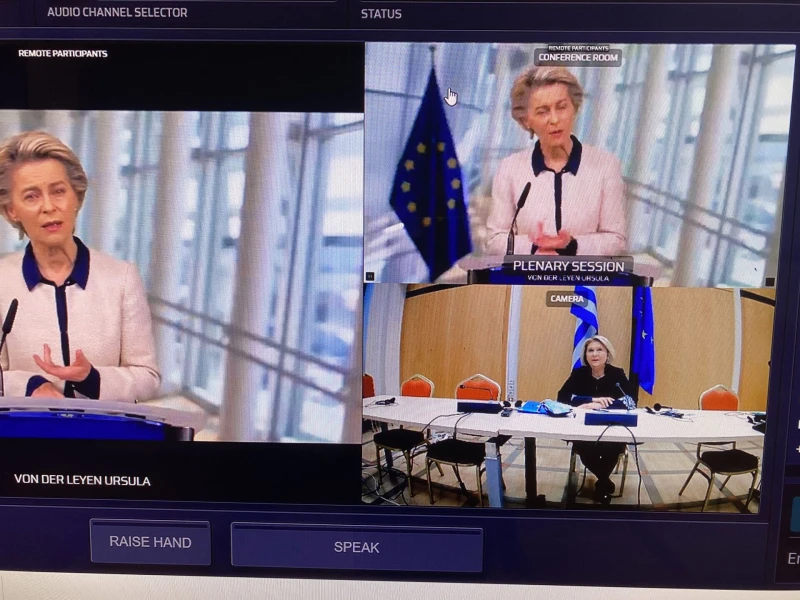 bultepsh-diaskepsh-ee-metanasteftiko-laien1-noembrios-2020.jpg