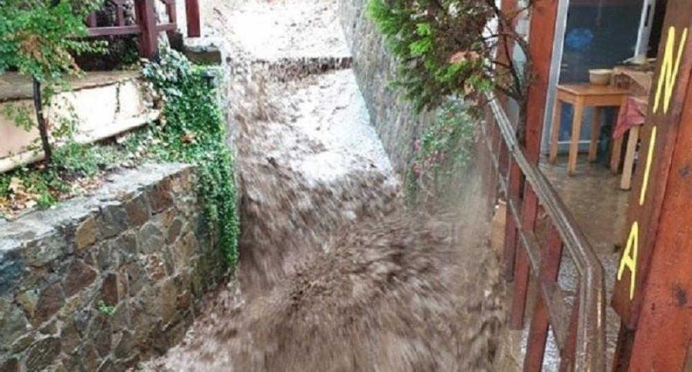 Κακοκαιρία: Ξεριζώθηκαν δέντρα, έκλεισαν δρόμοι – Προβλήματα στις ακτοπλοϊκές γραμμές