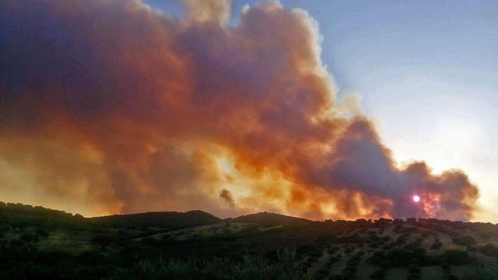 Πολύ υψηλός κίνδυνος για πυρκαγιά και την Τρίτη (15/9) – Ποιες είναι οι «κόκκινες» περιοχές