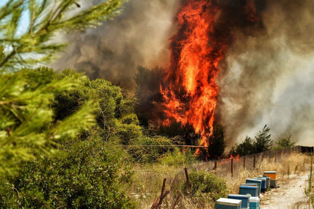 Μεγάλη φωτιά και στην Ηλεία – Εκκενώνεται χωριό (vid)