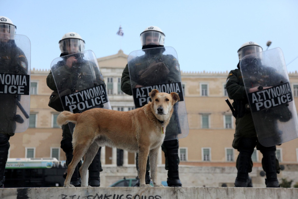 Λουκάνικος: ο σκύλος στην πρώτη γραμμή των διαδηλώσεων που έγινε σύμβολο μιας ολόκληρης εποχής (video)