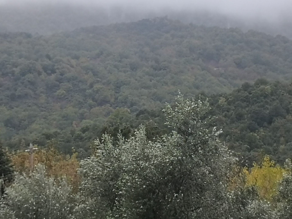 Τρίκαλα: Στην τελική ευθεία το “Σχέδιο Ασκληπιός”
