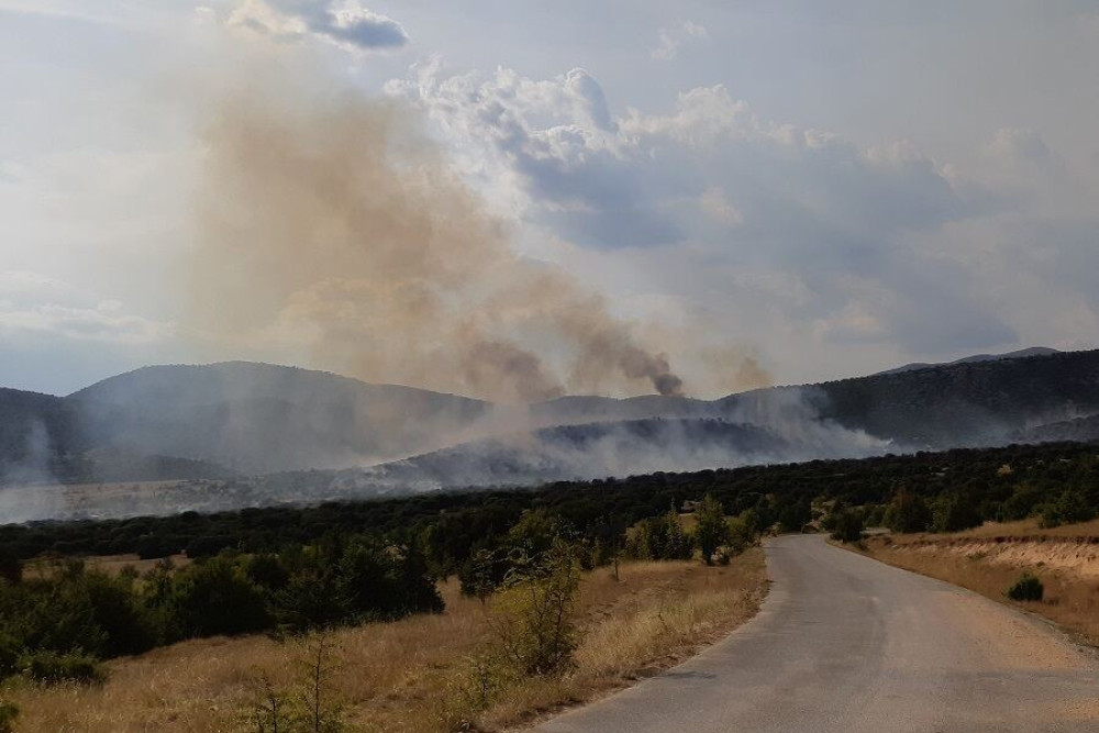 Πυρκαγιά στην Καμηλόβρυση Λαμίας – Καίει χαμηλή βλάστηση
