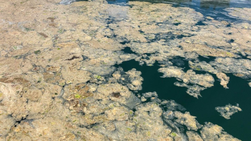Τουρκία: Κυβερνητική δέσμευση καθαρισμού της Θάλασσας του Μαρμαρά από «βλέννα»