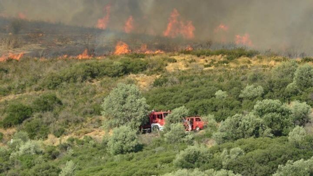 Πυρκαγιά στη Χασιά στον δήμο Φυλής