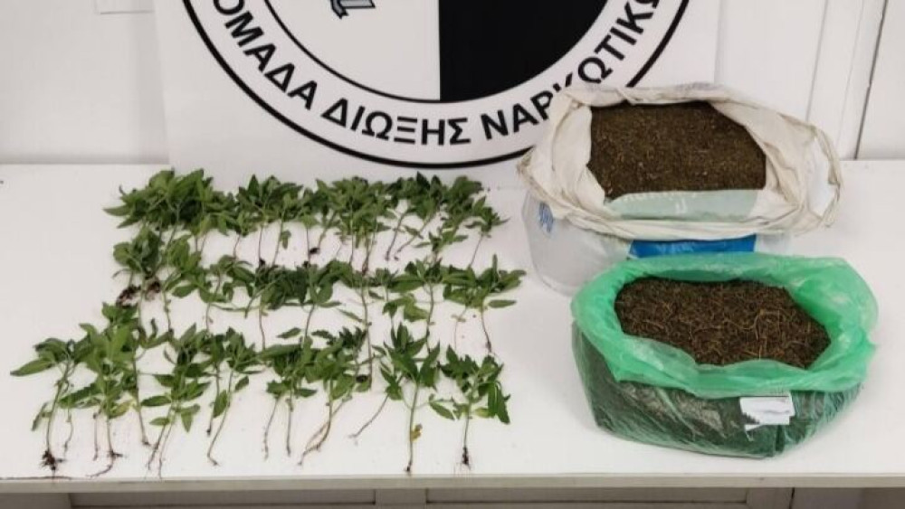 Δενδρύλλια κάνναβης και “πειραγμένοι” ταχογράφοι
