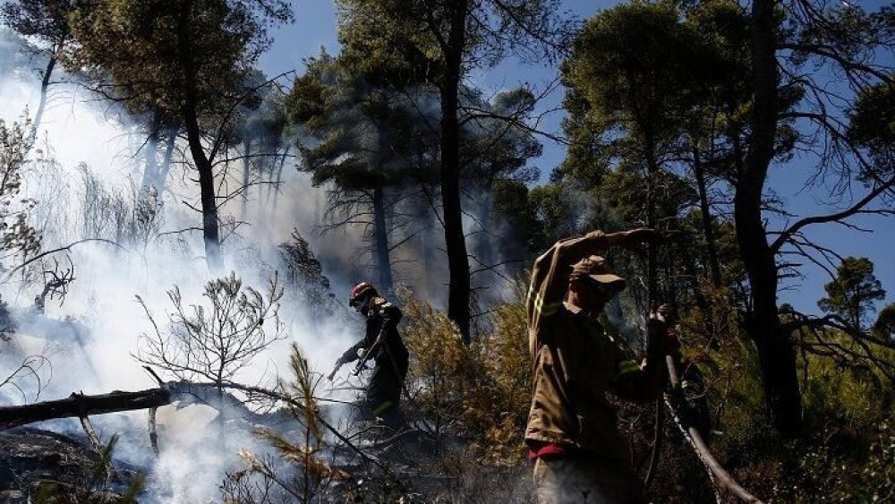 ΥΠΕΝ-ΤΕΕ: Σε χρόνους “ρεκόρ” οι μελέτες για την αποκατάσταση των πυρόπληκτων περιοχών σε Ν. Μάκρη και Ραφήνα