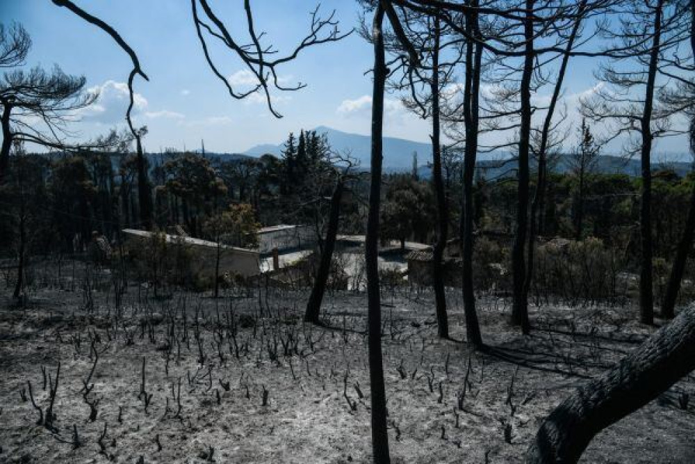 ΔΕΔΔΗΕ: Βλέπουν “φως” οι πυρόπληκτοι
