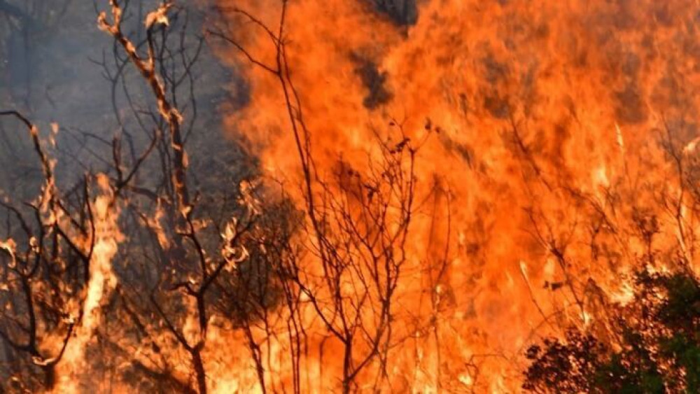 “Μαύρη” πρόβλεψη Ζερεφού: Θα δούμε μεγαλύτερες πυρκαγιές