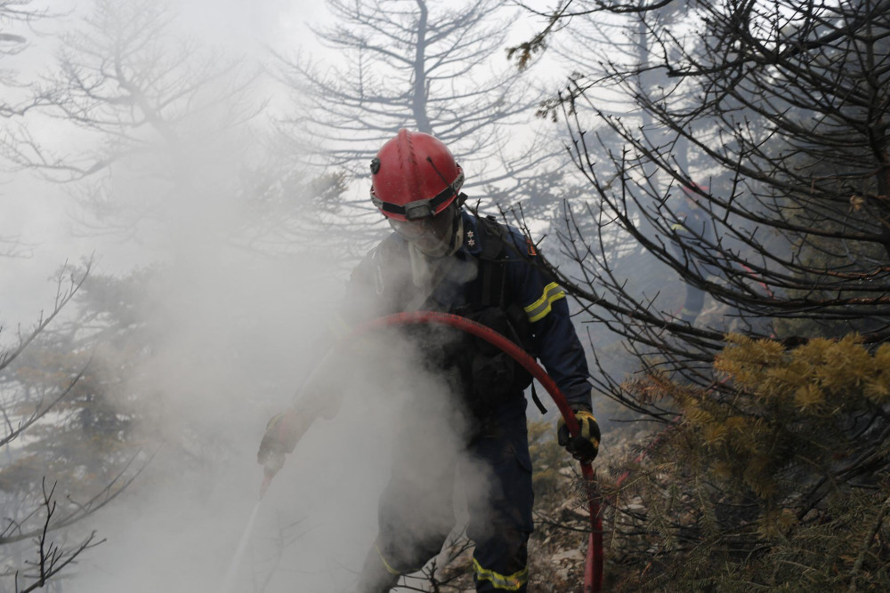 Τραπεζικός λογαριασμός της Ολομέλειας των Δικηγορικών Συλλόγων για τη στήριξη των πυρόπληκτων
