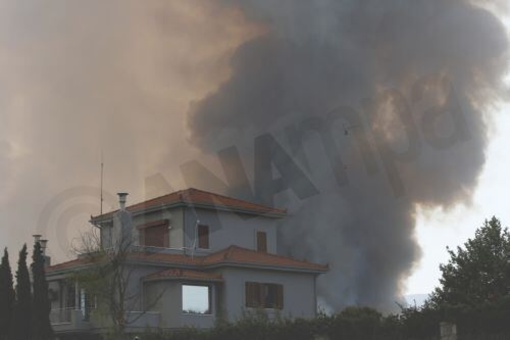 Φωκίδα: Στα 6 χιλιόμετρα το μέτωπο, εκκενώθηκαν Ελαία και Καλλιθέα