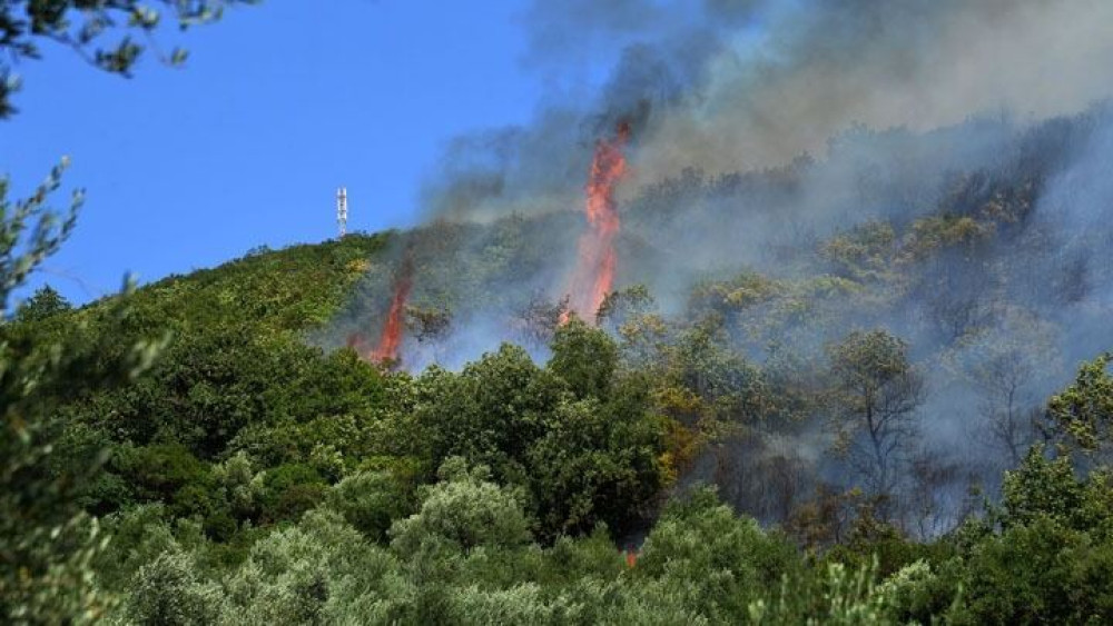 Στη φυλακή για εμπρησμό σε Κρυονέρι και Πετρούπολη – Πέντε χρόνια στη γυναίκα για το Πεδίον Άρεως