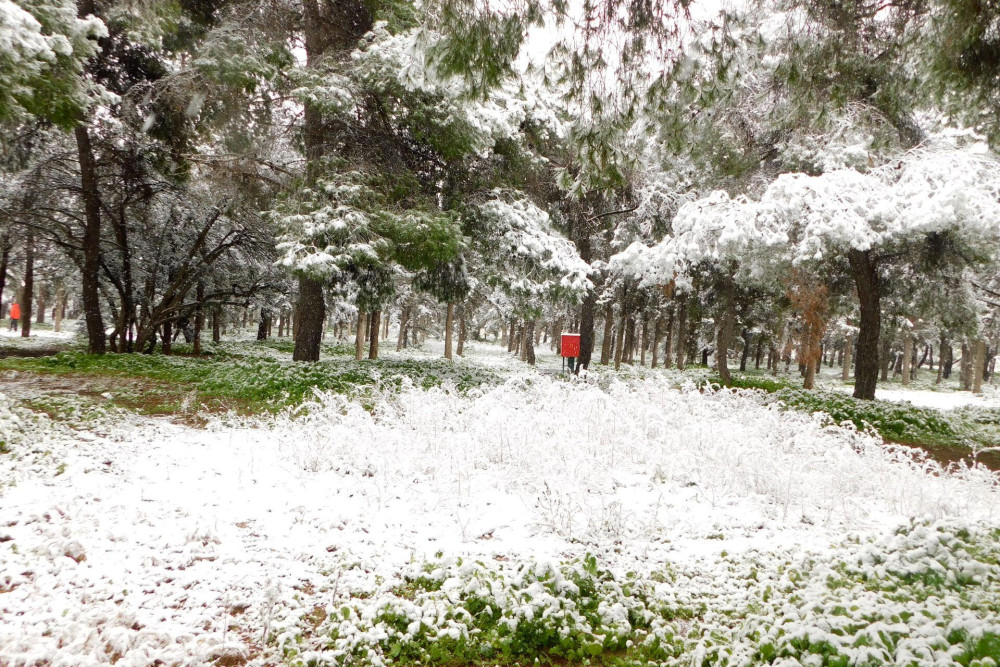 Kλειστά και την Τετάρτη (26/1) τα σχολεία στην Αττική