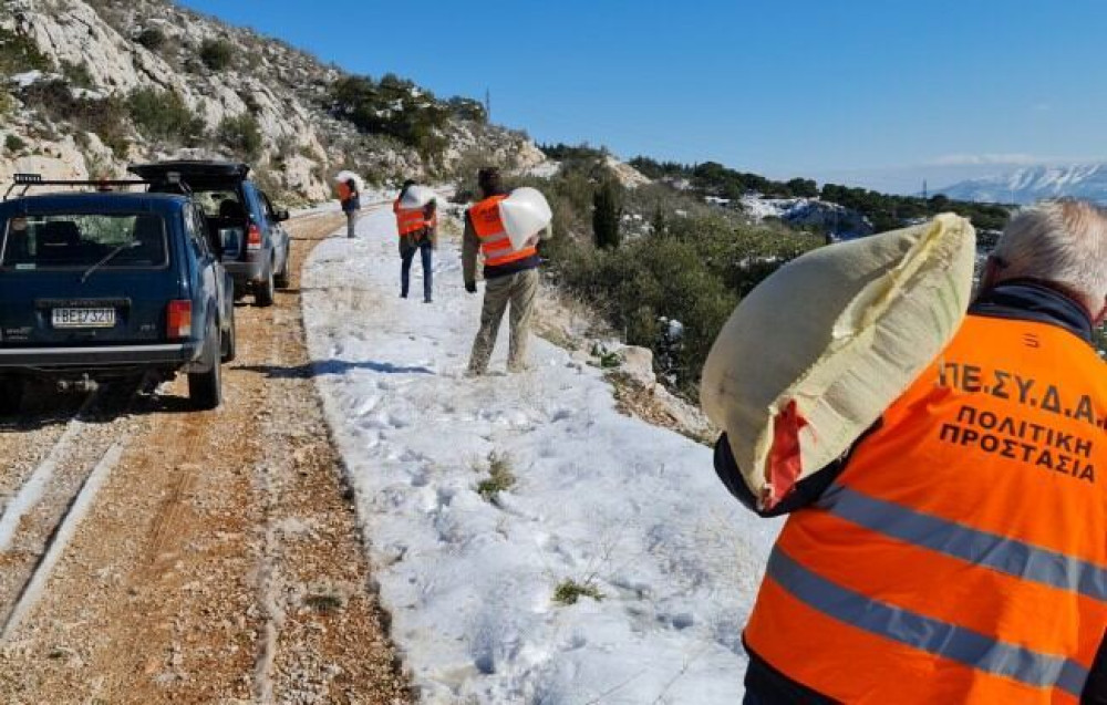 Ρίψεις τροφών για τα ζώα στο όρος Αιγάλεω