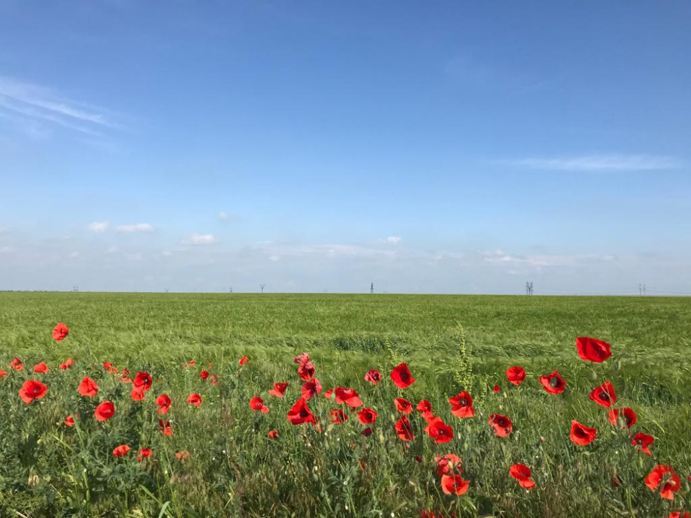 Γράμματα από την Ουκρανία – Μαρτυρίες  από τον πόλεμο