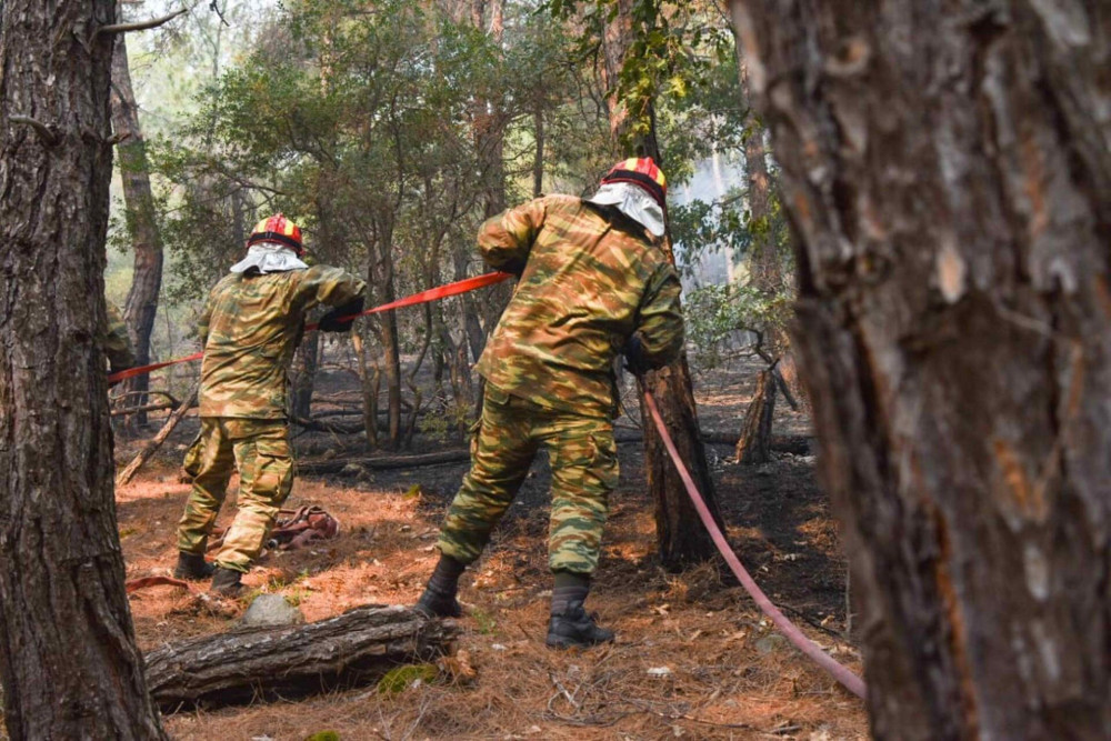 Εκπρόσωπος Τύπου Πυροσβεστικής – Εξαιρετικά δύσκολη η πυρκαγιά στο δάσος Δαδιάς