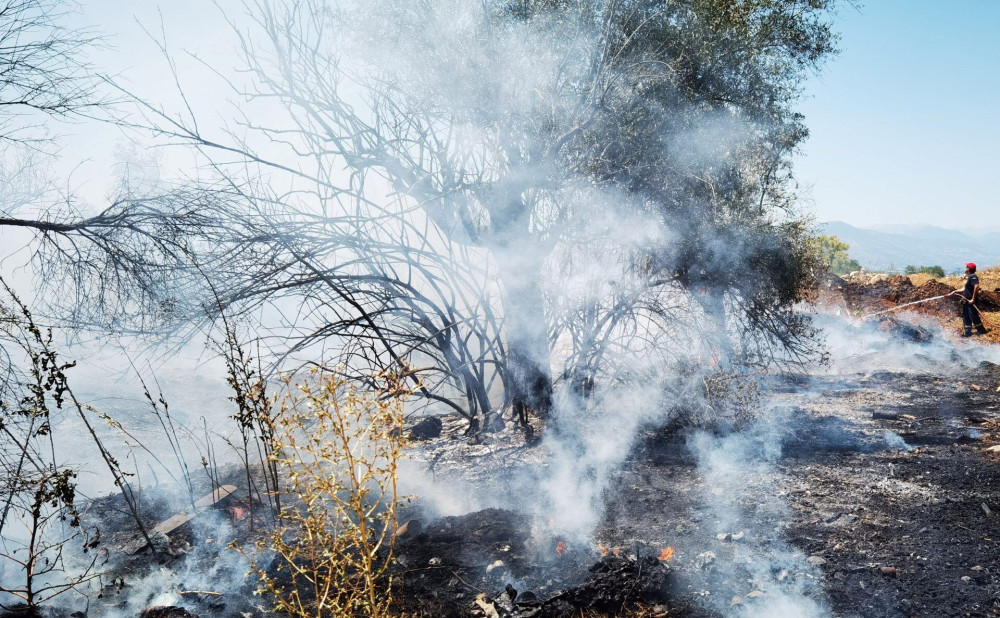 Σε εξέλιξη η πυρκαγιά στο Ντράφι Πεντέλης – Μήνυμα από το 112