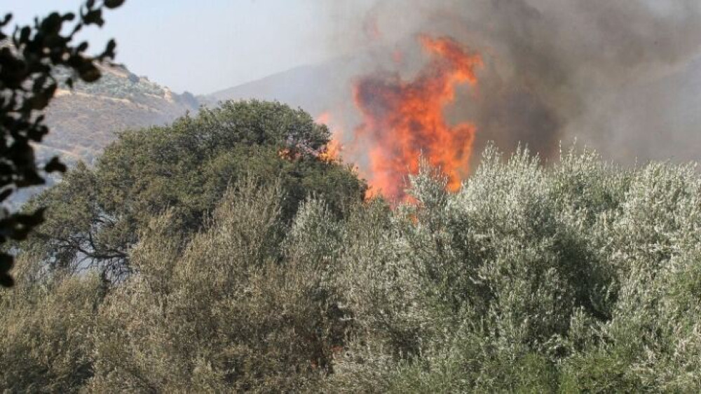 Υπό έλεγχο η πυρκαγιά στην Κουνινά Αχαϊας