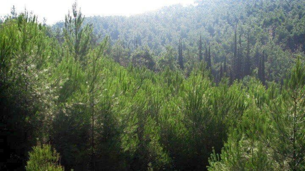 Στην οικογένεια των “Απάτητων Βουνών” τα θρυλικά Άγραφα