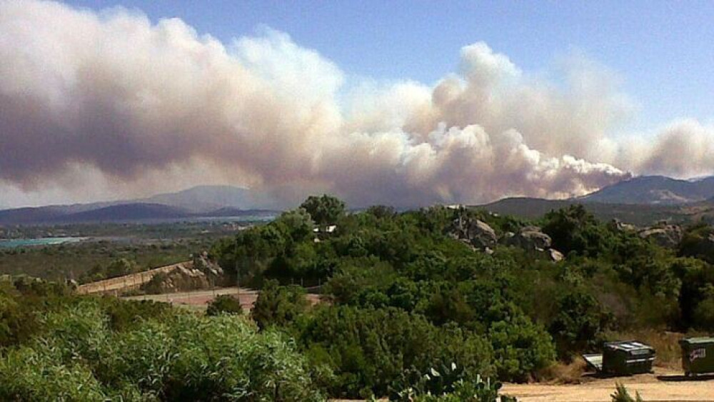 Εύβοια: φωτιά καίει δασική έκταση κοντά στο Κοντοδεσπότι