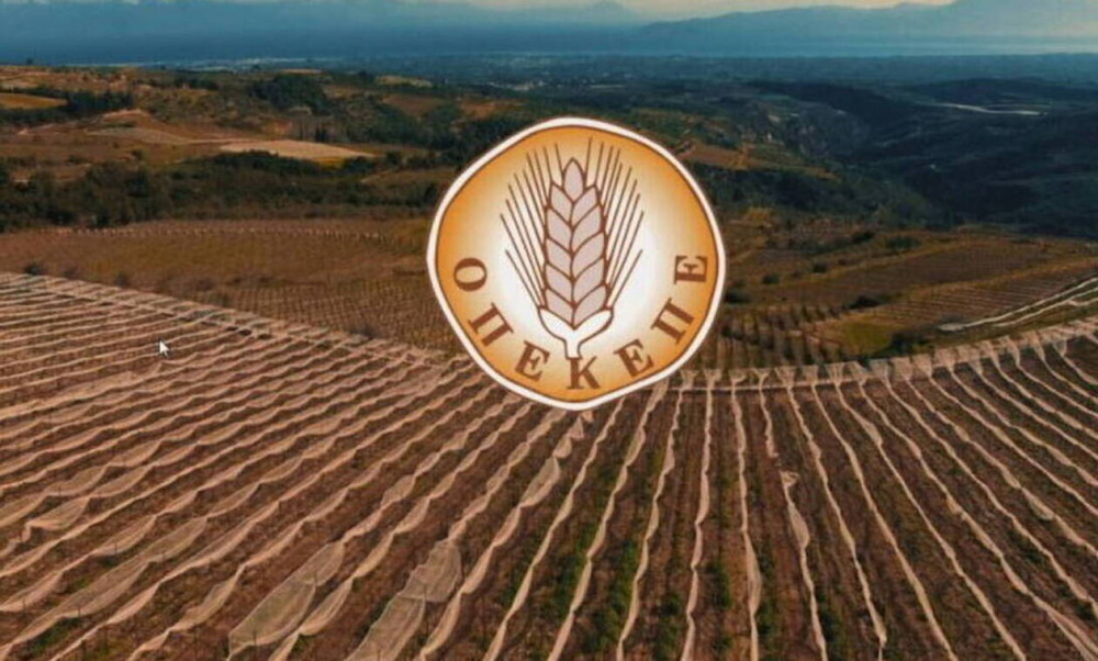 ΟΠΕΚΕΠΕ: από Παρασκευή 30/6 οι ξεκινούν οι πληρωμές σε 630.000 δικαιούχους