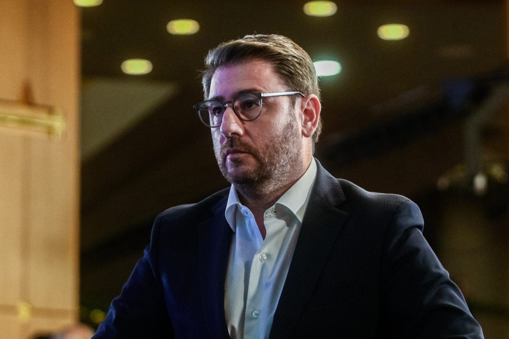 Γιάννης Παπαγιάννης: Ανεπαρκής και… λίγος ο Νίκος Ανδρουλάκης στη διαχείριση κρίσεων