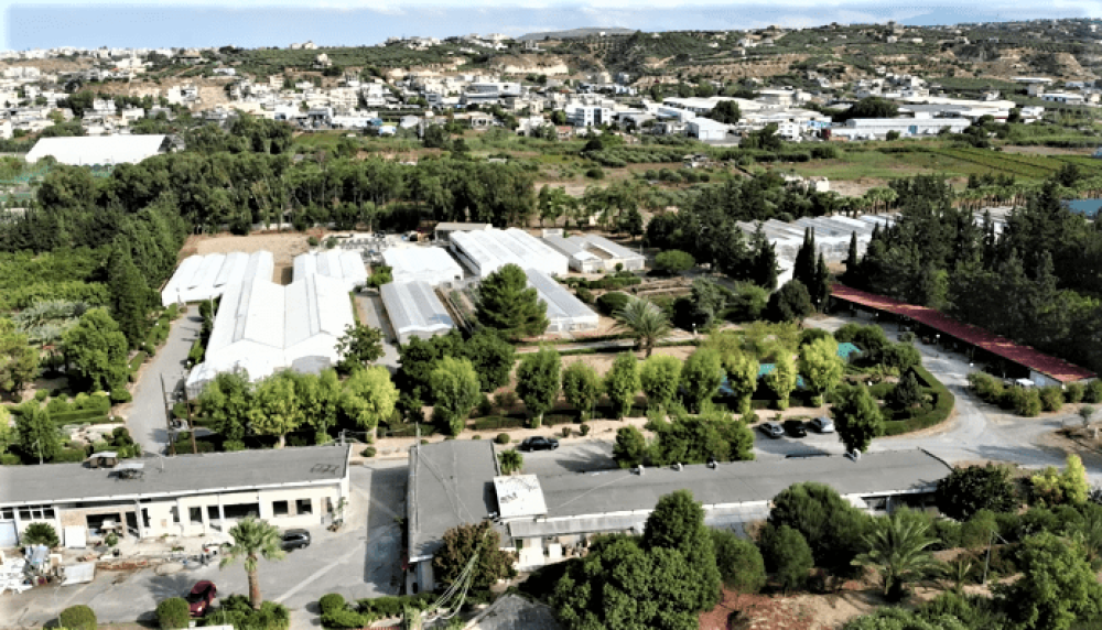 Tο χαρούπι στην Κρήτη – Το παρελθόν, το μέλλον και το νέο ερευνητικό έργο