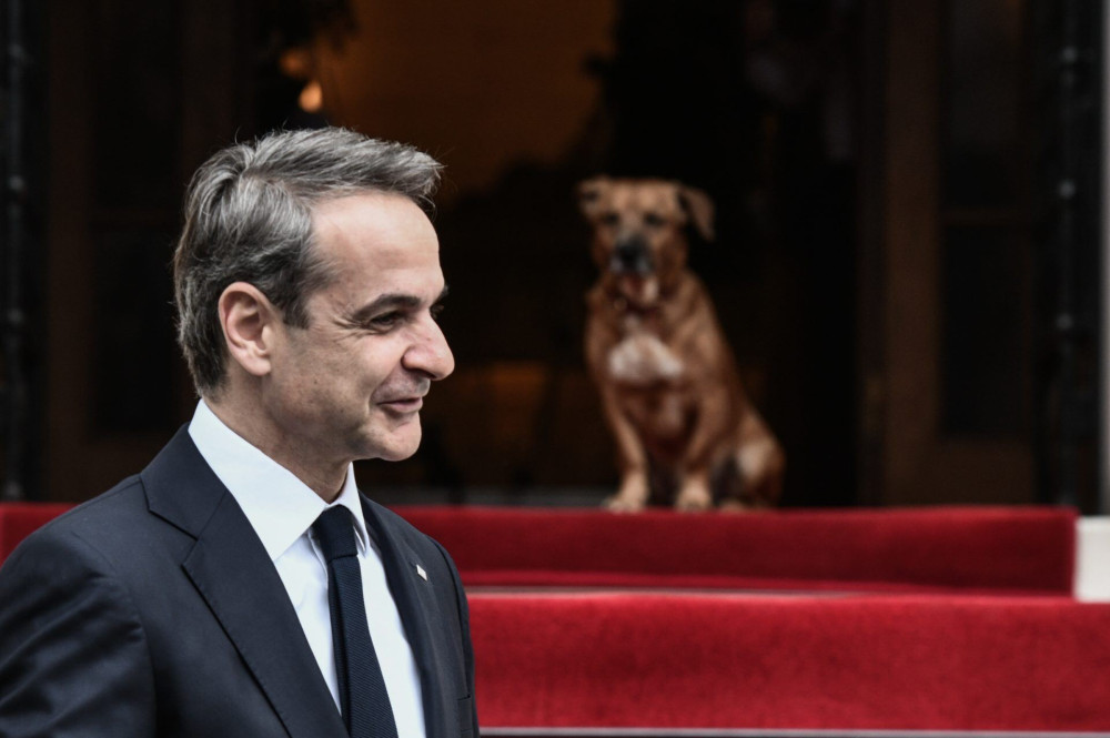 Μητσοτάκης: “Κανένα ζώο αδέσποτο, κανένα κακοποιημένο”